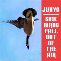 Juhyo - Sick Birds Fall Out of the Air